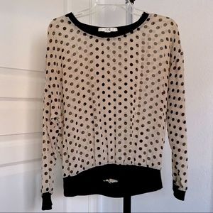 Sheer Polka Dot Long Sleeve Top